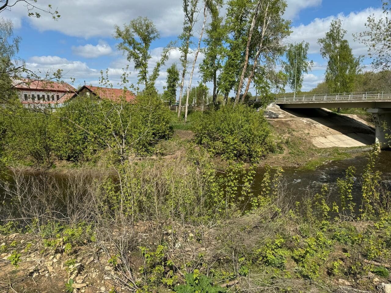 В Менделеевске построят пешеходный мост через реку Тойму