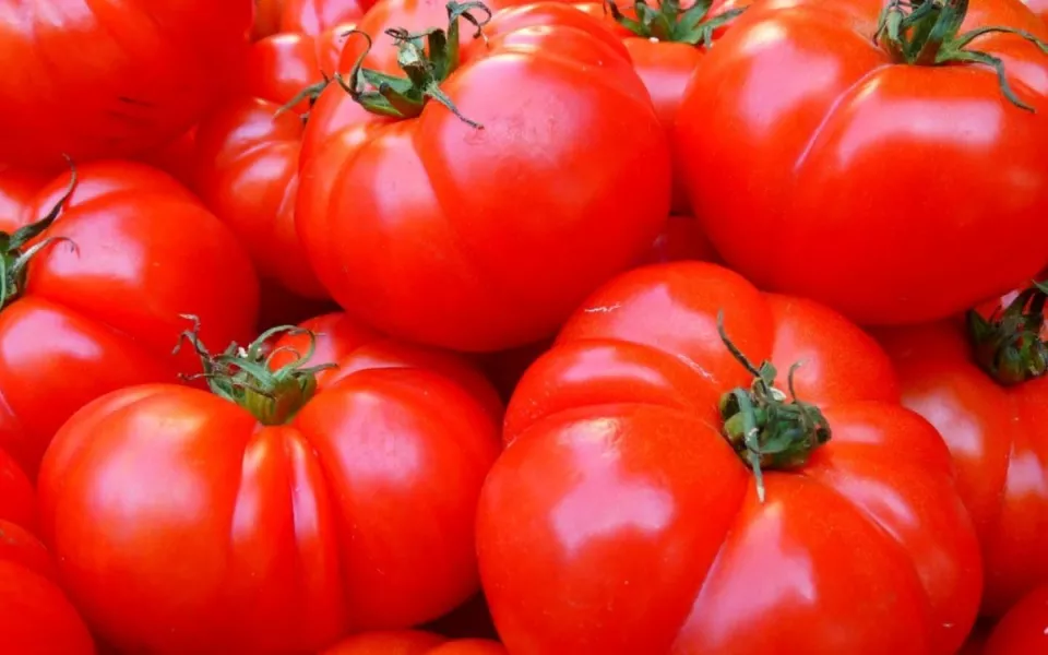 В Алтайский край пытались ввезти зараженные томаты и хризантемы