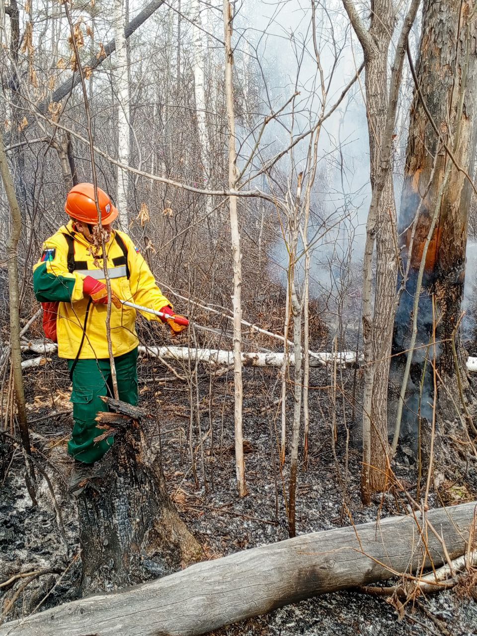 Дополнительные силы авиапожарных Федеральной Авиалесоохраны направлены для оказания помощи ЕАО в тушении лесных пожаров